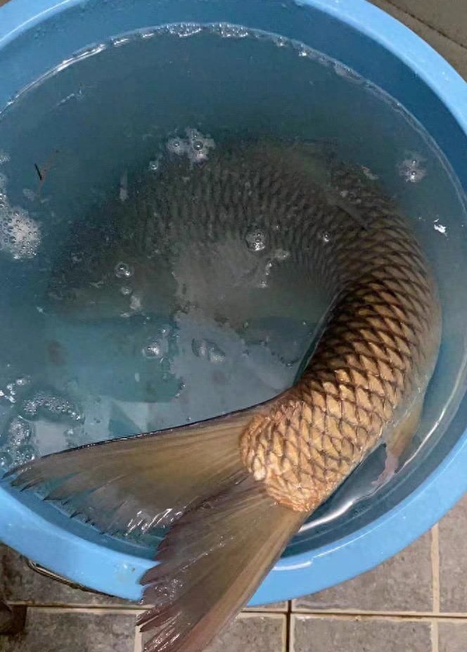 img, https img, https