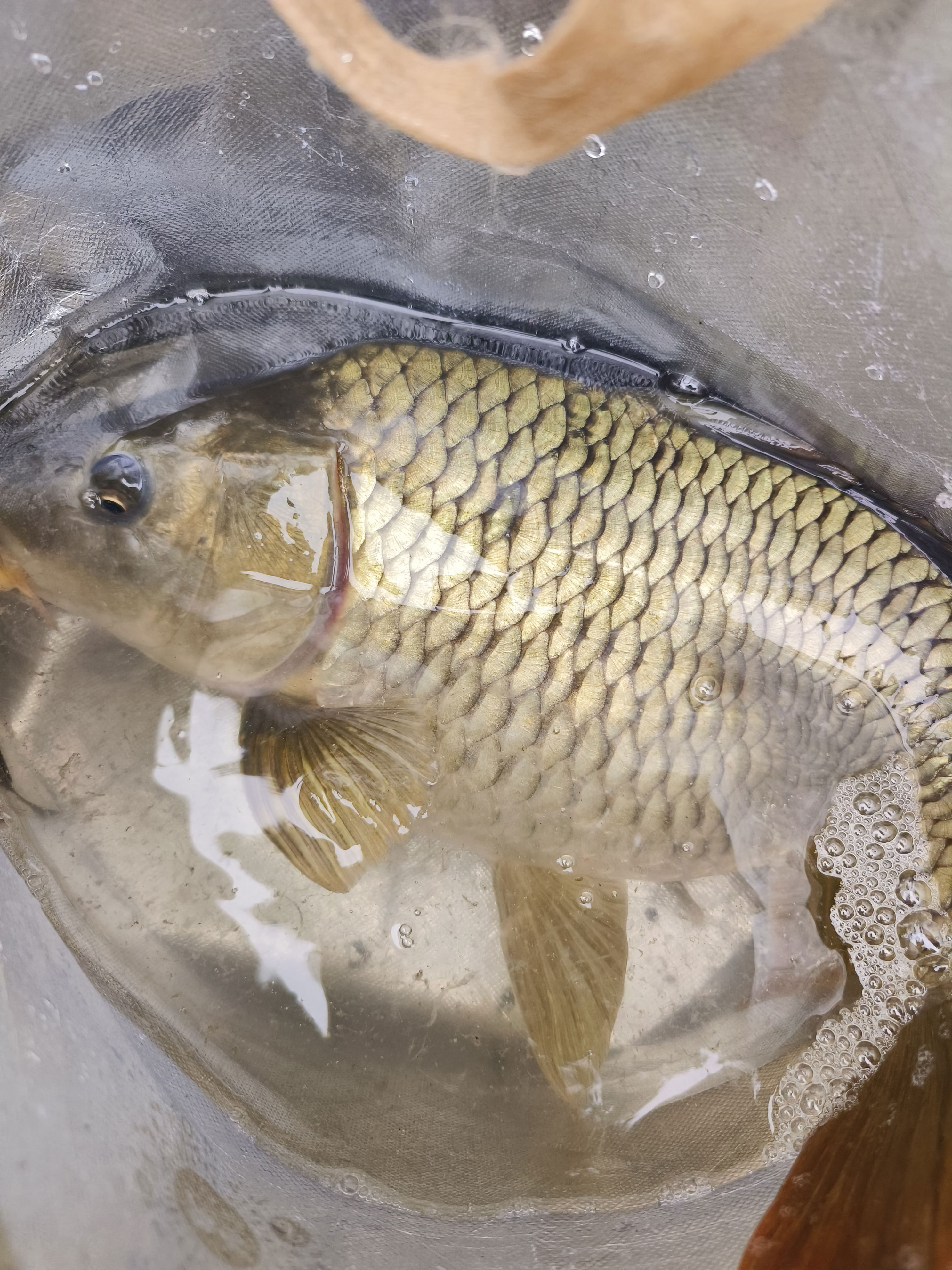 最多最好的 最多最好的