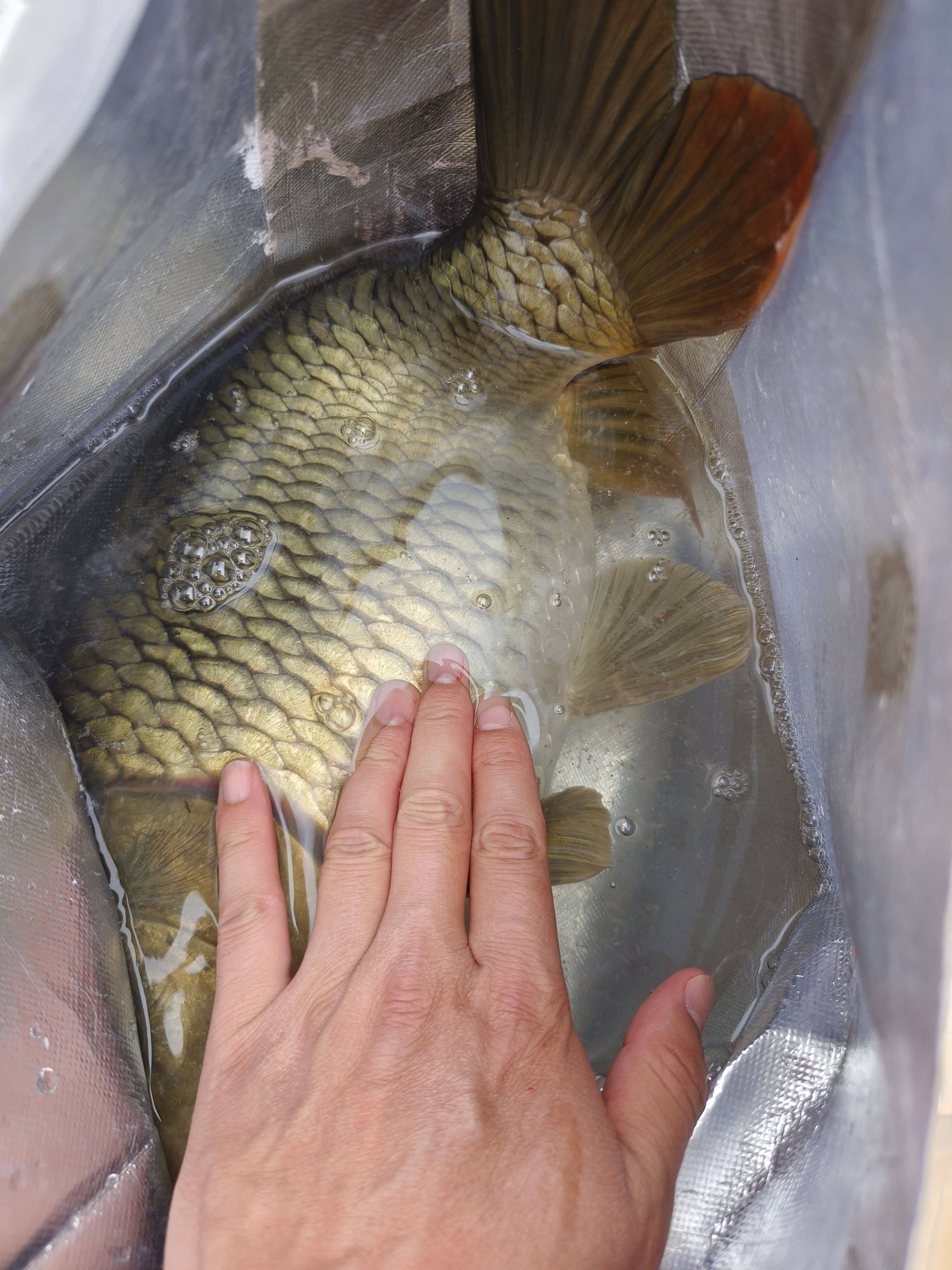 span, span span, span