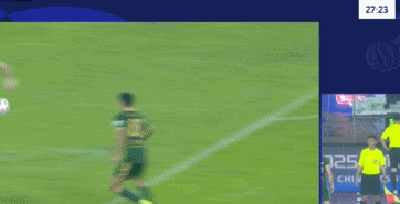 被张瑷晖踢 被张瑷晖踢